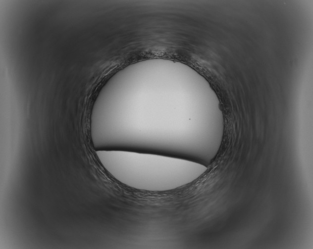 X0000086951105200704161051