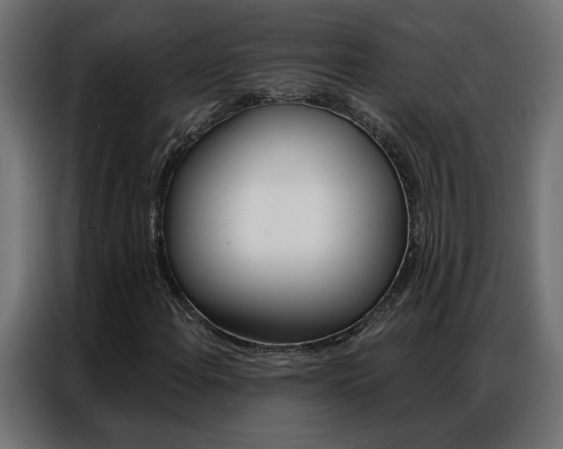 X0000086951108200704161051