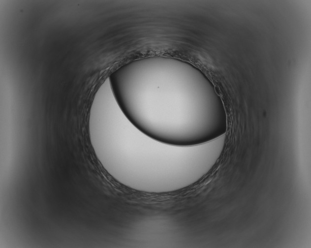 X0000086951109200704161051