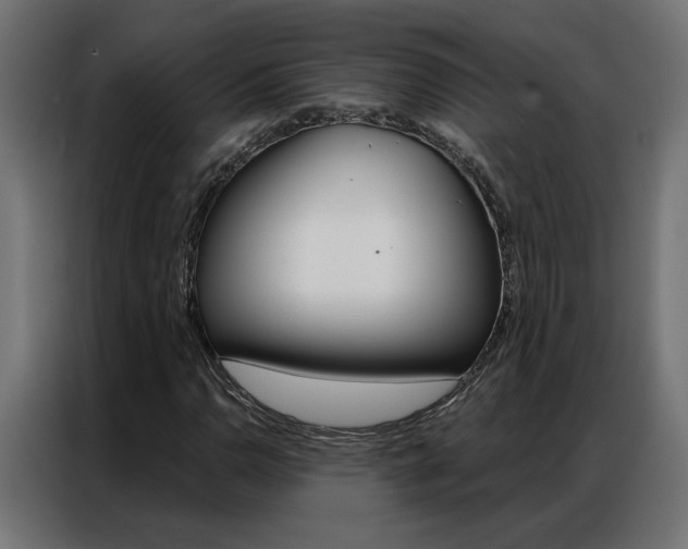 X0000086951110200704161051