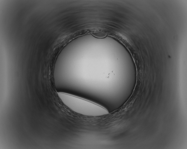 X0000086951111200704161051