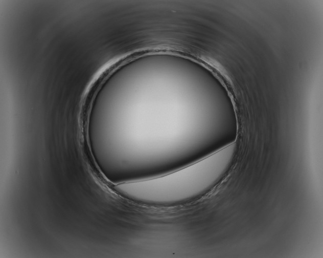 X0000086951120200704161051