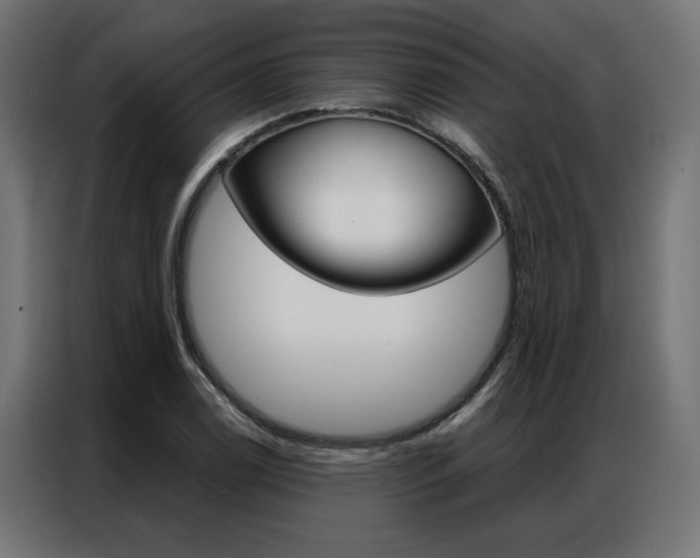 X0000086951122200704161051