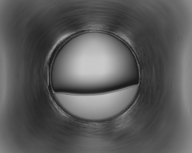 X0000086951123200704161051