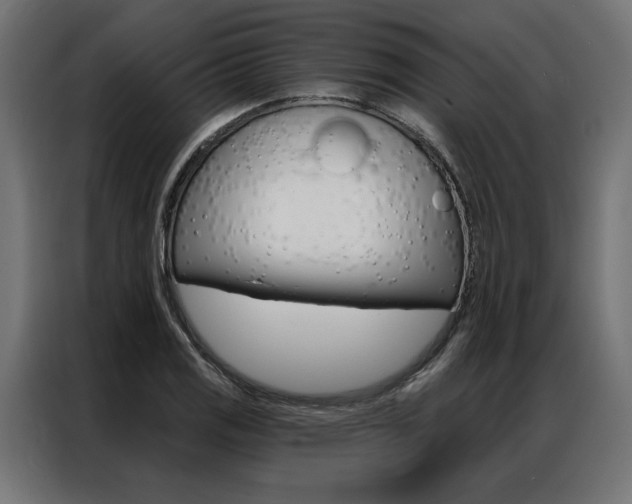 X0000086951125200704161051