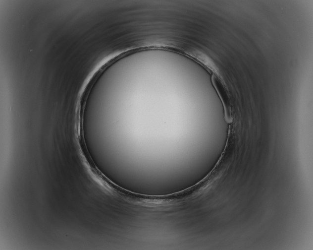 X0000086951132200704161051