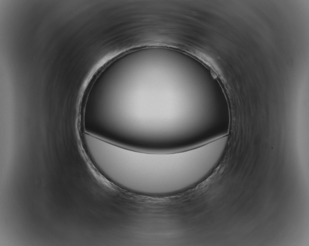 X0000086951136200704161051