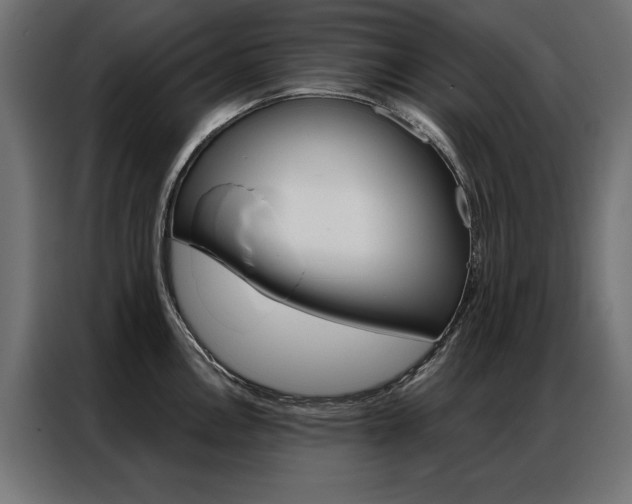 X0000086951146200704161051