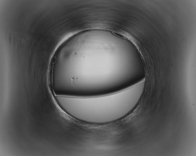 X0000086951147200704161051