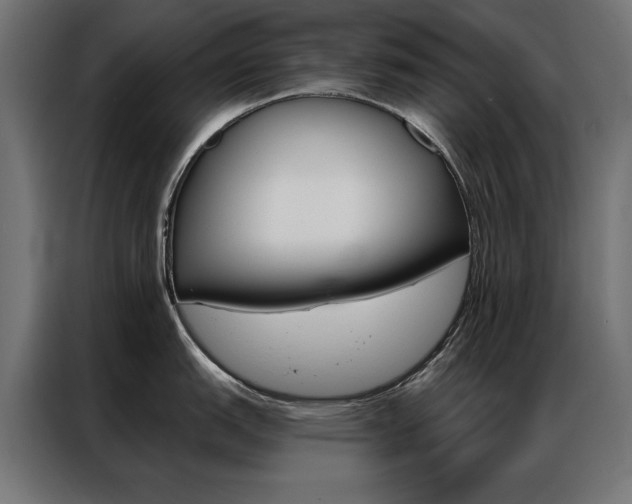 X0000086951151200704161051