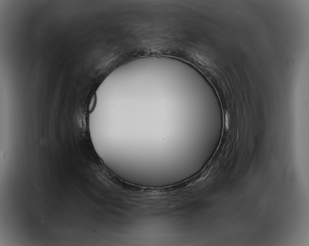 X0000086951155200704161051
