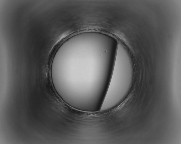 X0000086951165200704161050