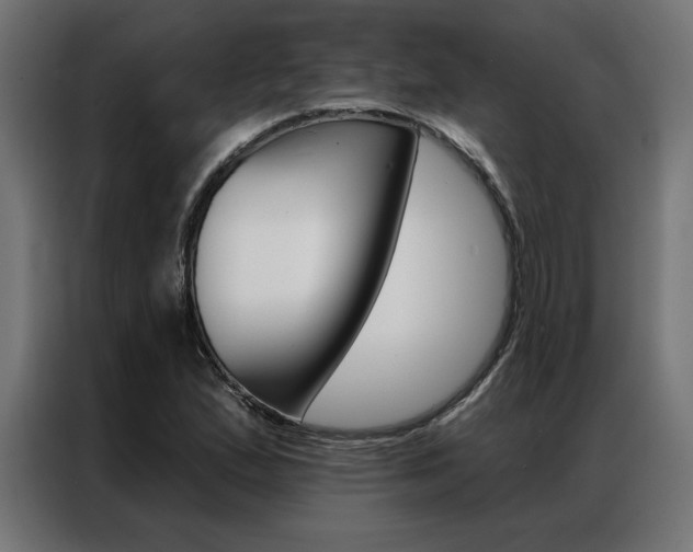 X0000086951167200704161050