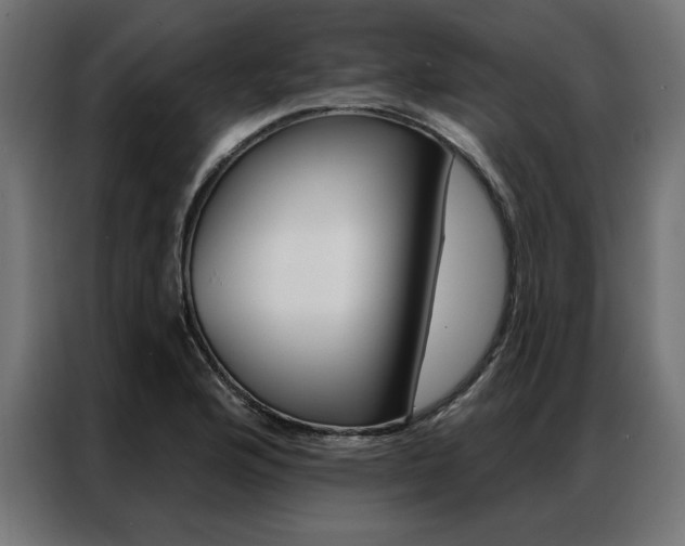 X0000086951176200704161050