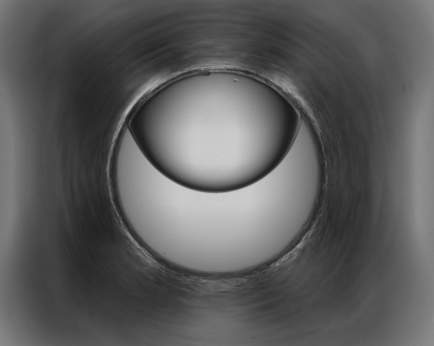 X0000086951181200704161050