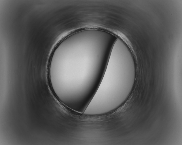X0000086951183200704161050