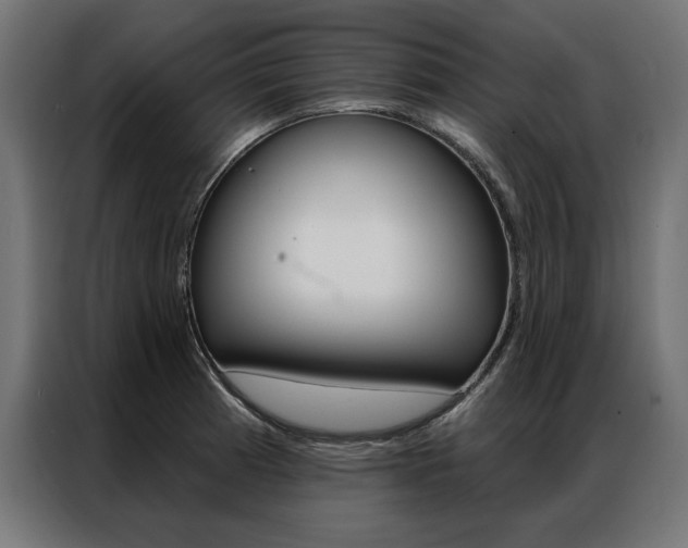 X0000086951185200704161050