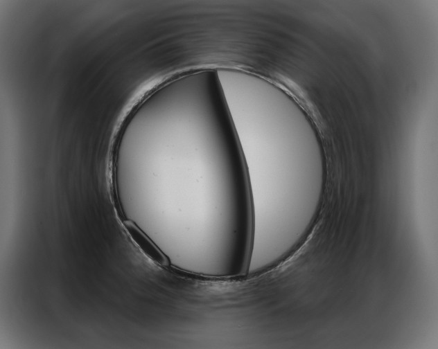 X0000086951188200704161050