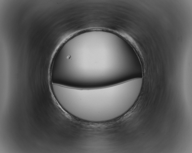 X0000086951191200704161050