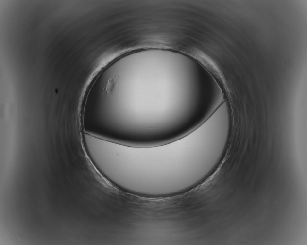 X0000086951192200704161050