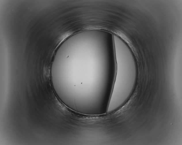 X0000086951193200704161050