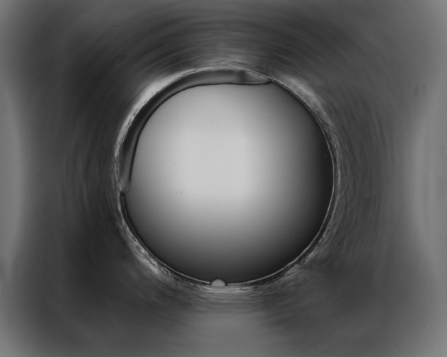 X0000086951200200704161050