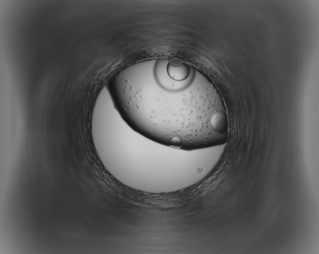X0000086951201200704161049