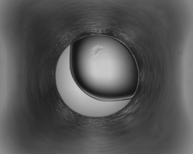 X0000086951202200704161049