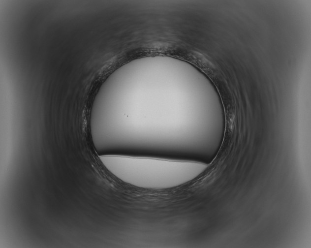 X0000086951204200704161049