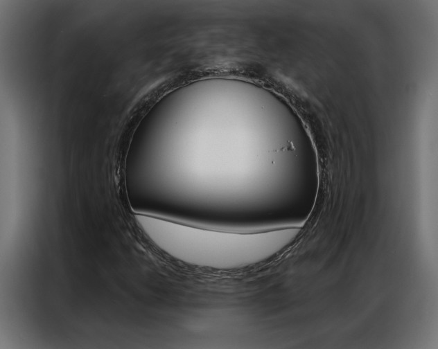 X0000086951206200704161049