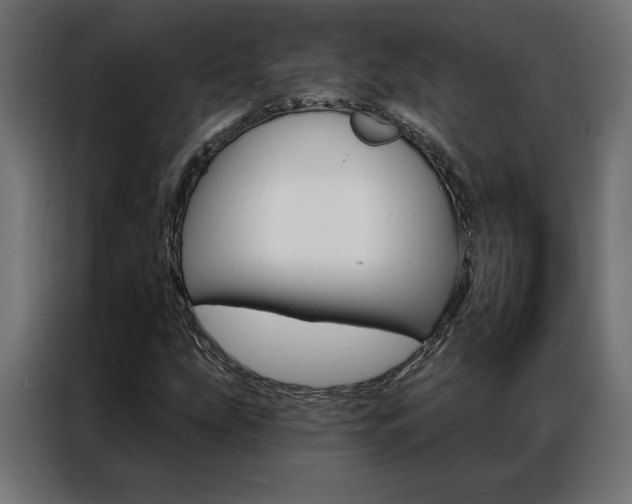 X0000086951207200704161049