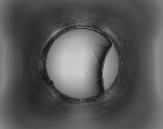 X0000086951208200704161049