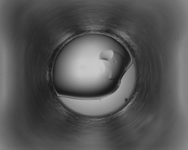 X0000086951209200704161049