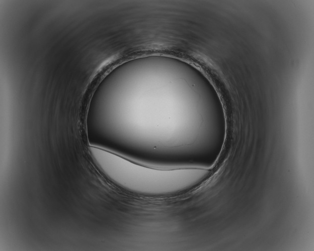 X0000086951210200704161049