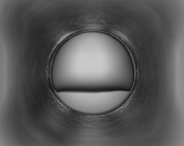 X0000086951212200704161049