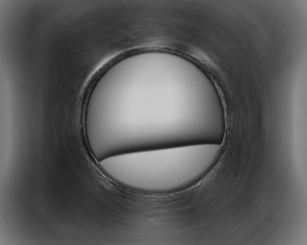 X0000086951216200704161049