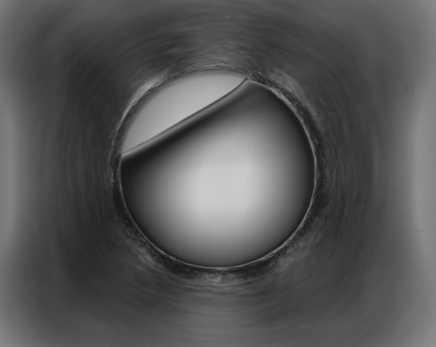 X0000086951218200704161050
