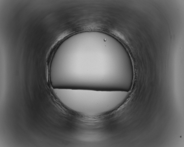 X0000086951219200704161050
