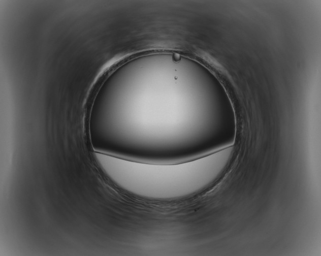 X0000086951222200704161050