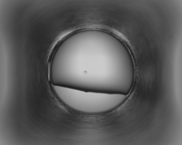 X0000086951223200704161050