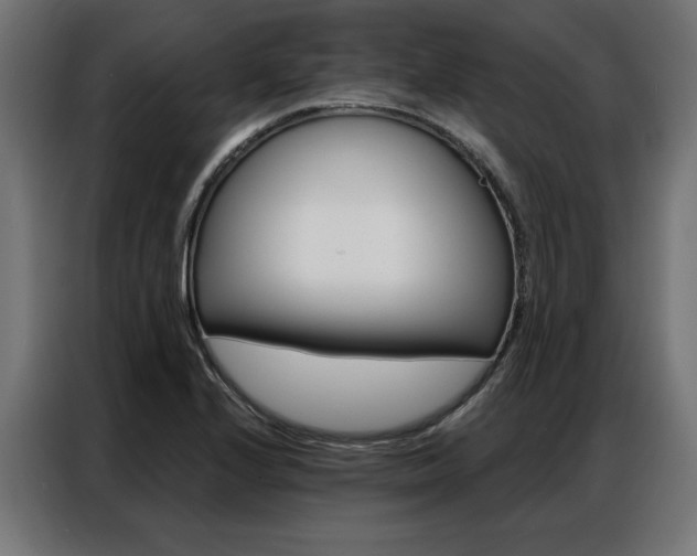 X0000086951224200704161050