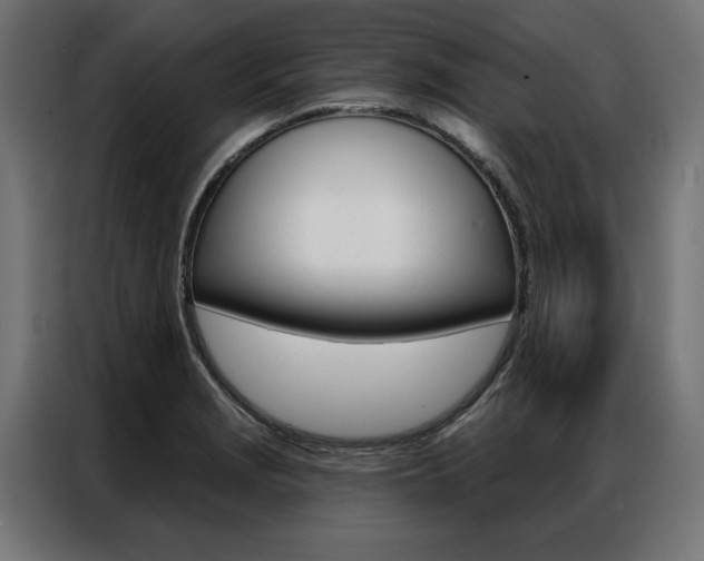 X0000086951229200704161050