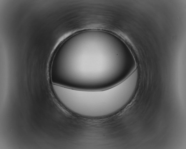 X0000086951230200704161050