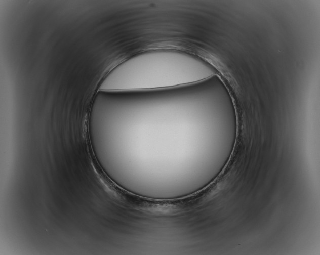 X0000086951233200704161050