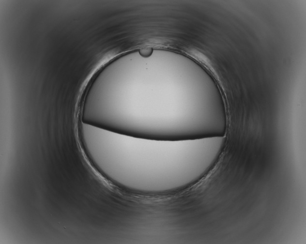 X0000086951235200704161050