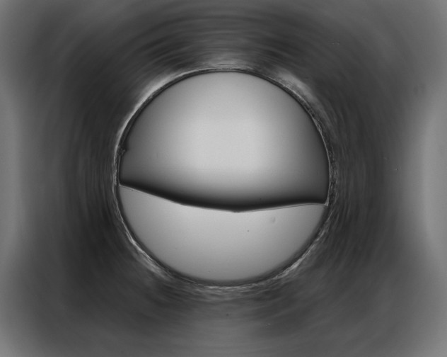 X0000086951236200704161050