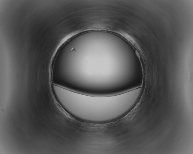 X0000086951238200704161050