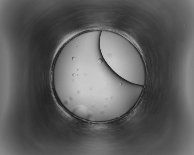 X0000086951239200704161050