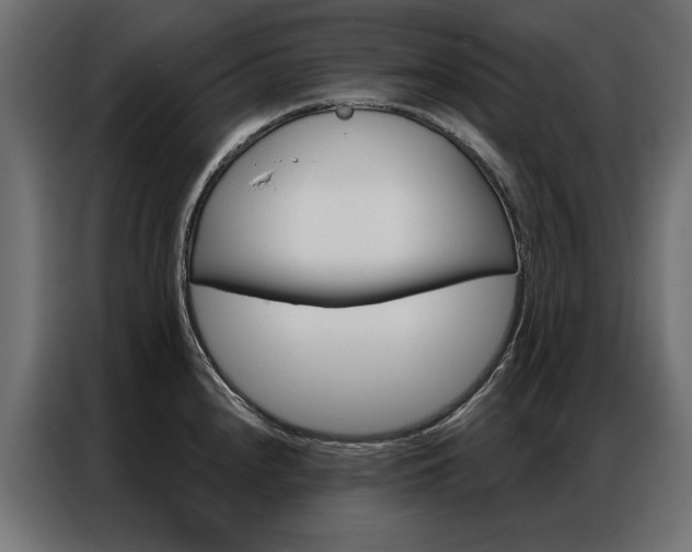 X0000086951240200704161050