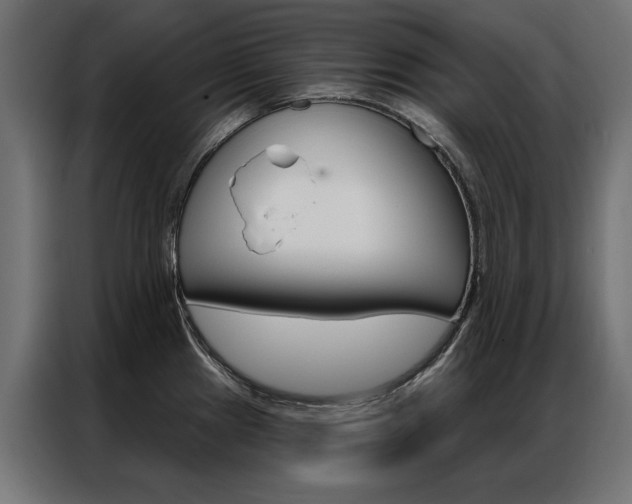 X0000086951241200704161050